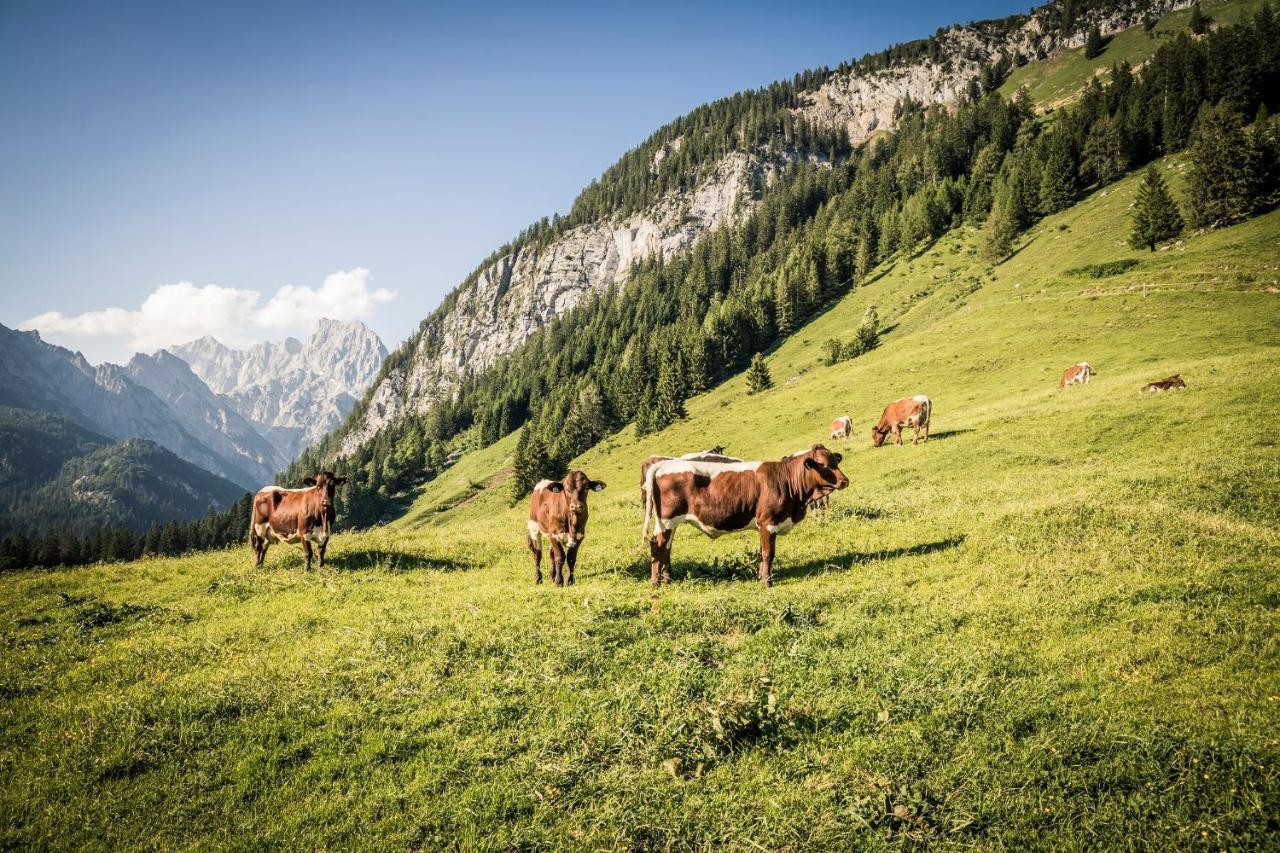Ferienwohnung Im Gaestehaus Sieger-Brandner Ramsau bei Berchtesgaden Buitenkant foto